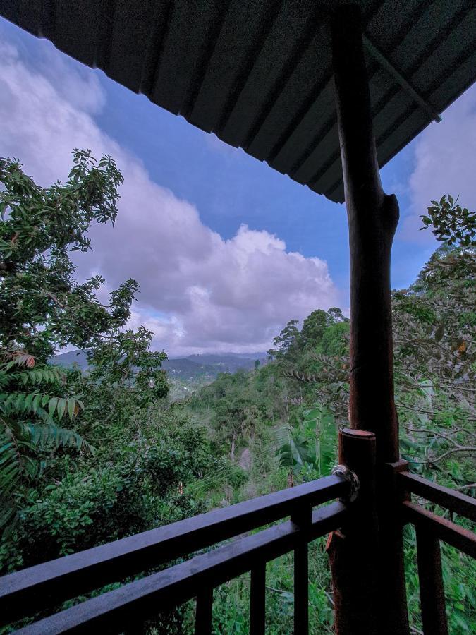 Serene Homestay Ella Exteriér fotografie