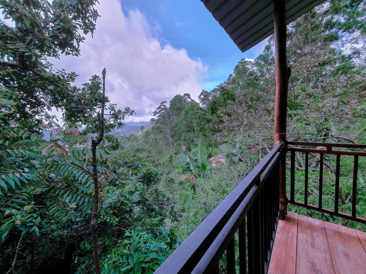 Serene Homestay Ella Exteriér fotografie